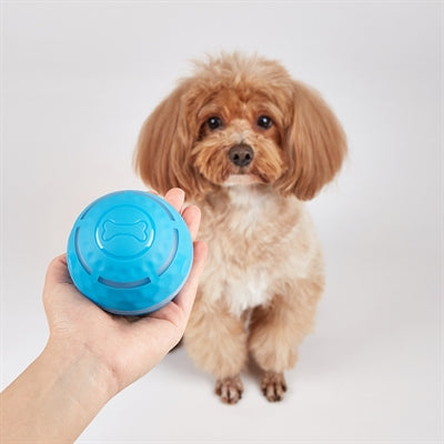 Balle roulante rechargeable Fofos pour chiens