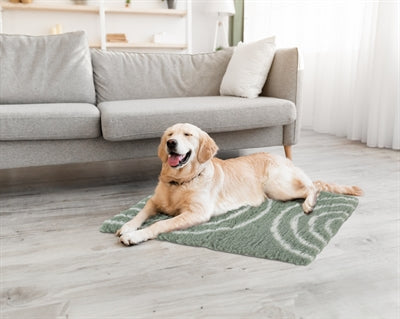 Zolux couverture pour chien vetbed noeud vert