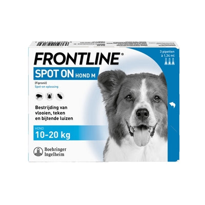 Spot de chien de première ligne sur