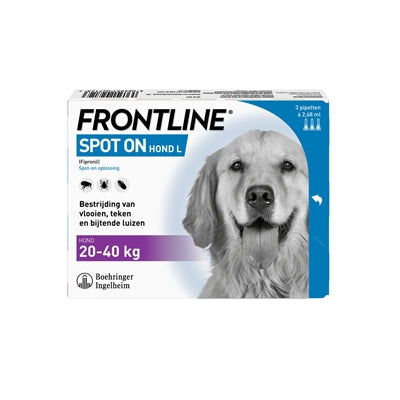 Spot de chien de première ligne sur