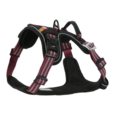 Zolux bvk harnais pour chien rouge