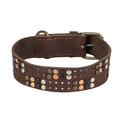 Trixie collier pour chien rivet rustique cuir graissé marron foncé