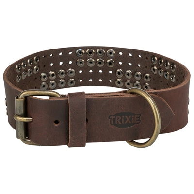 Trixie collier pour chien rivet rustique cuir graissé marron foncé