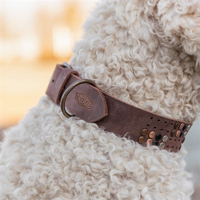 Trixie collier pour chien rivet rustique cuir graissé marron foncé