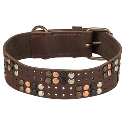 Trixie collier pour chien rivet rustique cuir graissé marron foncé