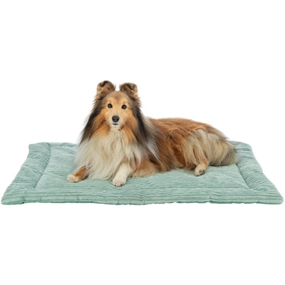 Tapis de salon Trixie Jonna velours côtelé vert sauge