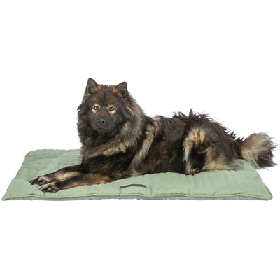 Tapis de salon Trixie Marley vert sauge