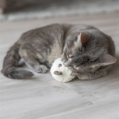 Ours Trixie avec peluche herbe à chat assortie
