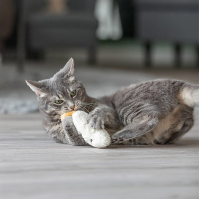 Trixie visage endormi avec peluche herbe à chat assortie