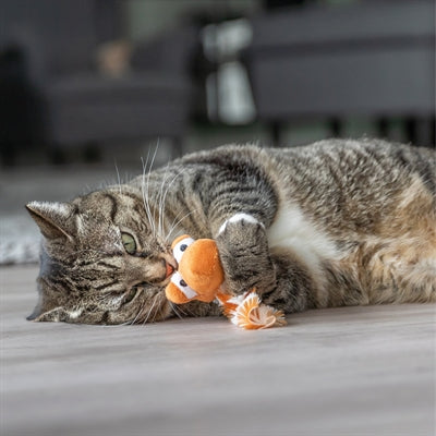Trixie dragon avec peluche herbe à chat assortie