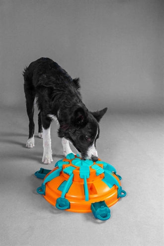 Nina Ottosson tour de friandises orange bleu