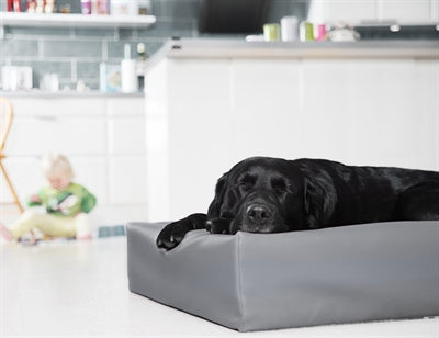 Housse de panier pour chien en cuir artificiel Bia bed gris