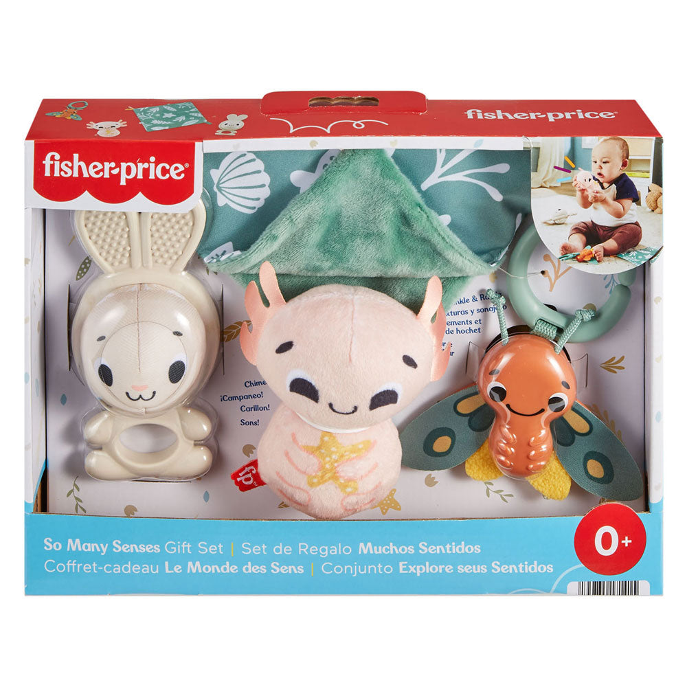 Fisher-Price Fisher Price Coffret cadeau Tant de sens