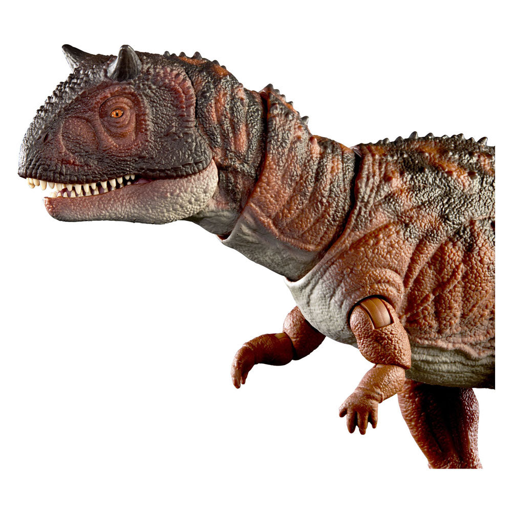 Mattel Jurassic World Hammond Collection Figurine de jeu dinosaure carnotaure