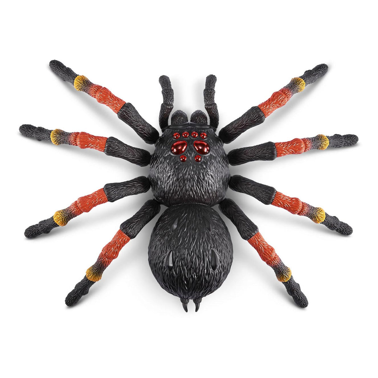 Zuru robo tarentule géante vivante avec de la bave de toile d'araignée