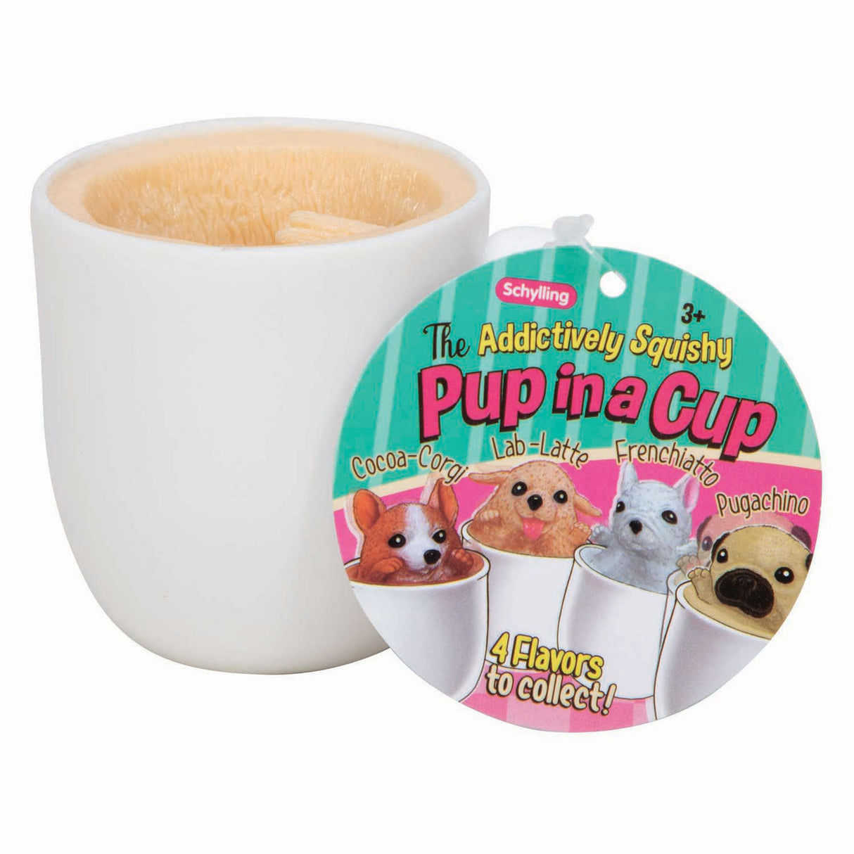 Chiot pop-up Boti dans une tasse spongieuse