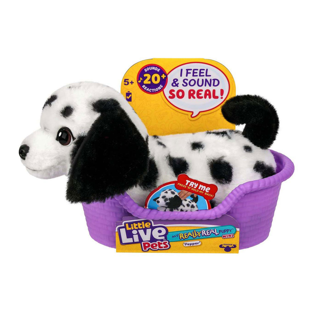 Spectron petits animaux vivants mon vrai chiot mini poivre
