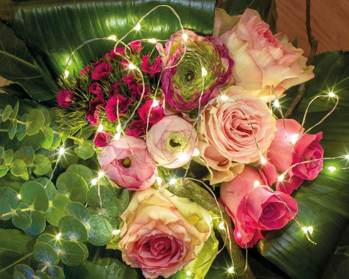 Éclairage cascade Lumineo 40 LED blanc chaud