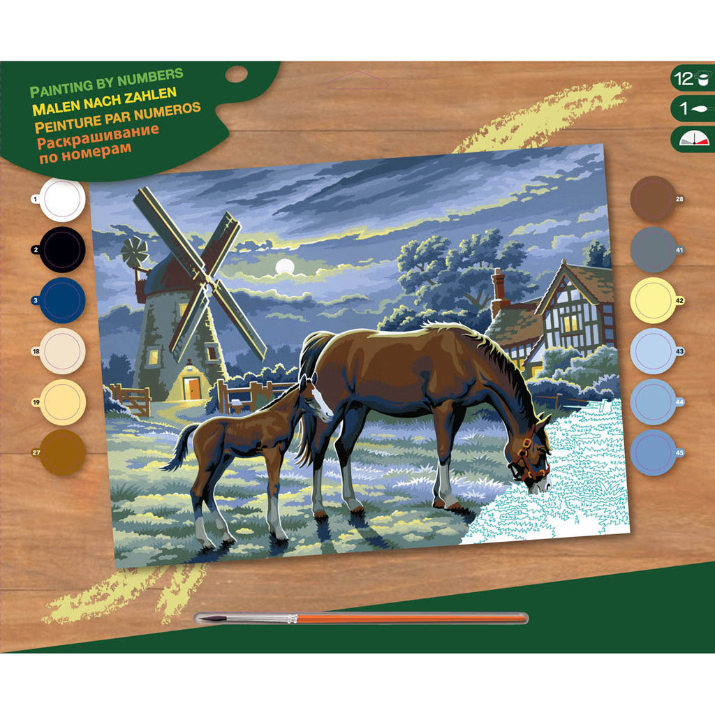 Peinture de base par numéros chevaux