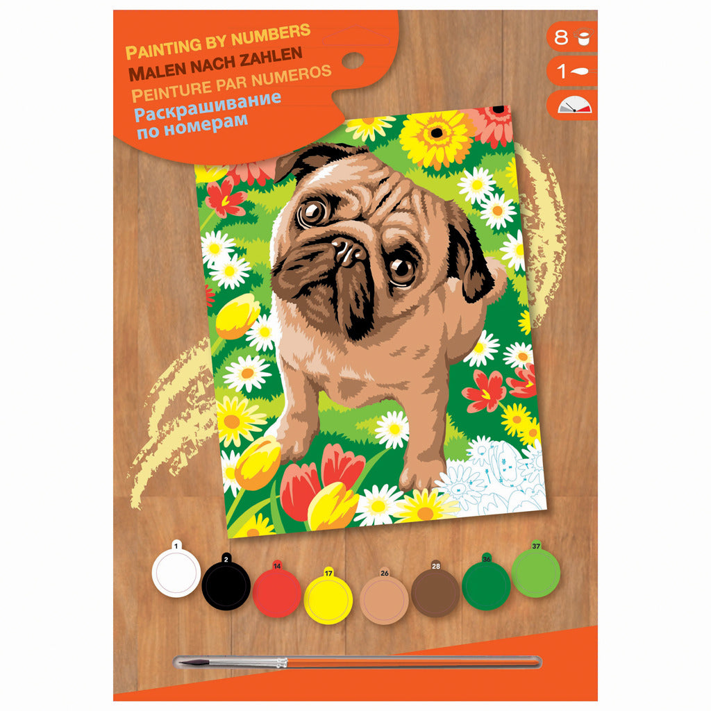 Peinture de base par numéro de chien carlin