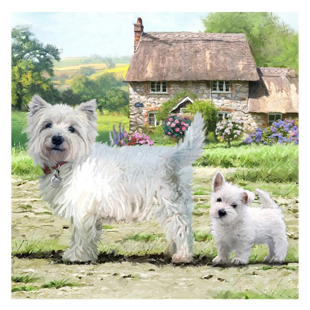 Carte d'art en cristal Craft Buddy West Highland Terriers 18x18 cm