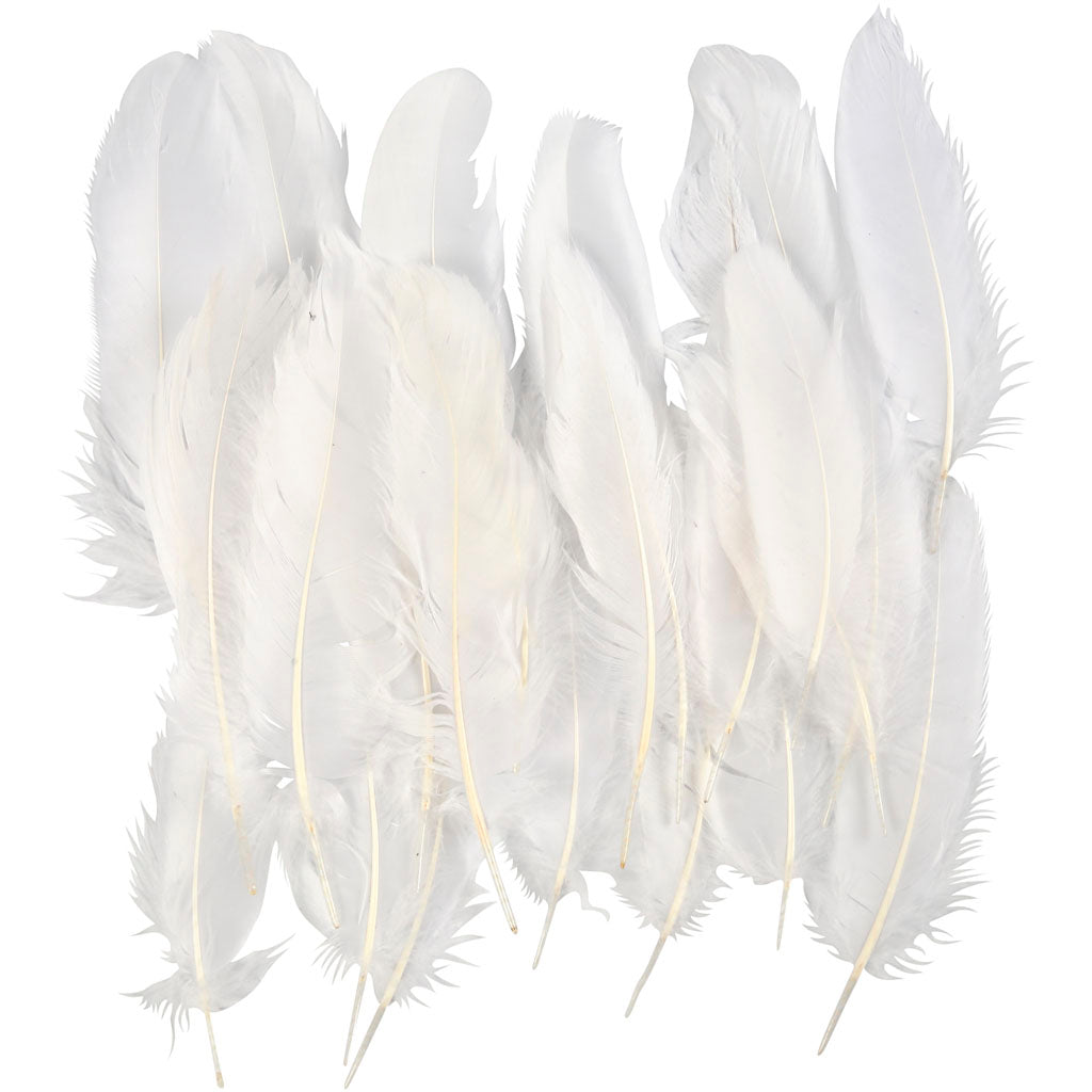 Plumes Creativ Company, taille 10-18, blanches, 70 pièces 1 sachet