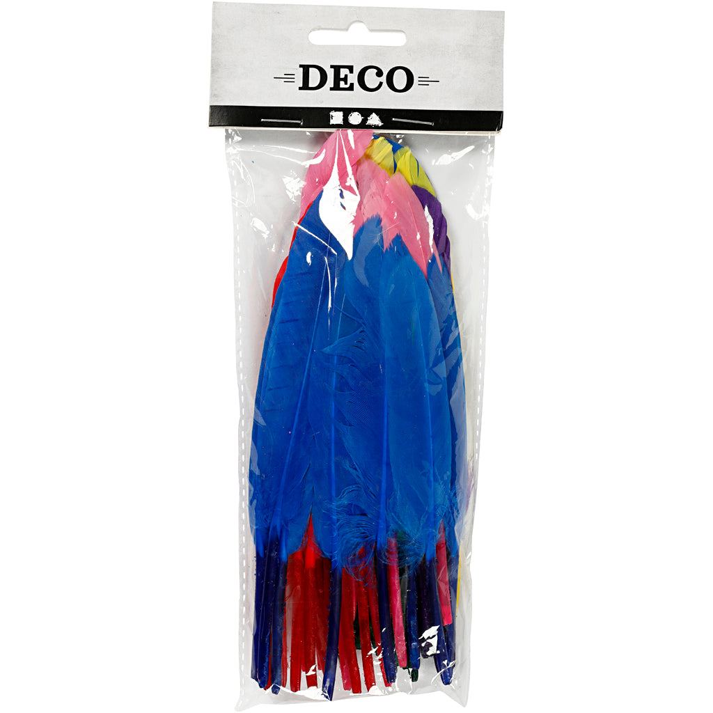 Plumes Creativ company, l: 13 cm, différentes couleurs, 48 pièces 1 boîte