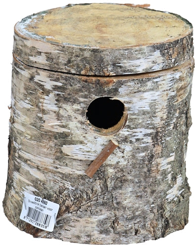 Bloc de reproduction en bois de bouleau paraket
