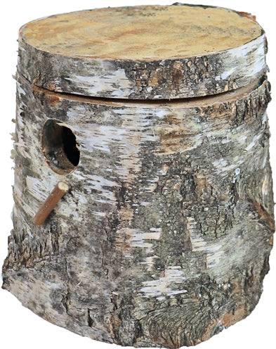 Bloc de reproduction en bois de bouleau paraket