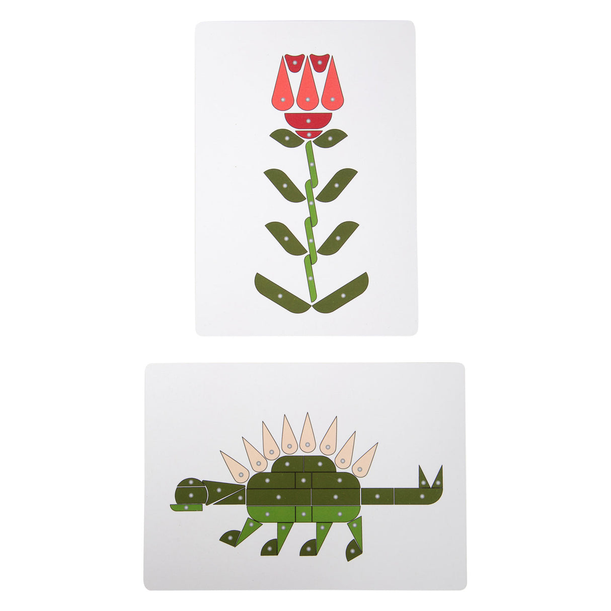 Small foot - plantes à marteaux et êtres vivants