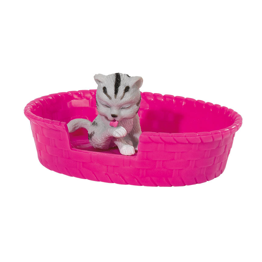 Evi adore les chatons amoureux des animaux