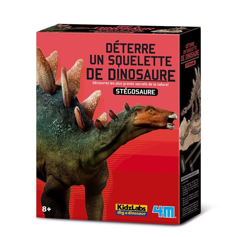 4 m creusez votre propre dinosaure chez Stegosaurus Kidzlabs