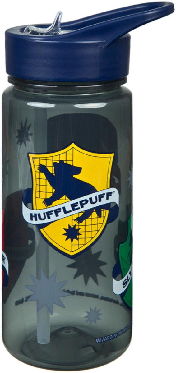 Bouteille à boire Harry Potter | 4 pièces