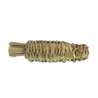 Herbe de carotte pour animaux de compagnie heureux
