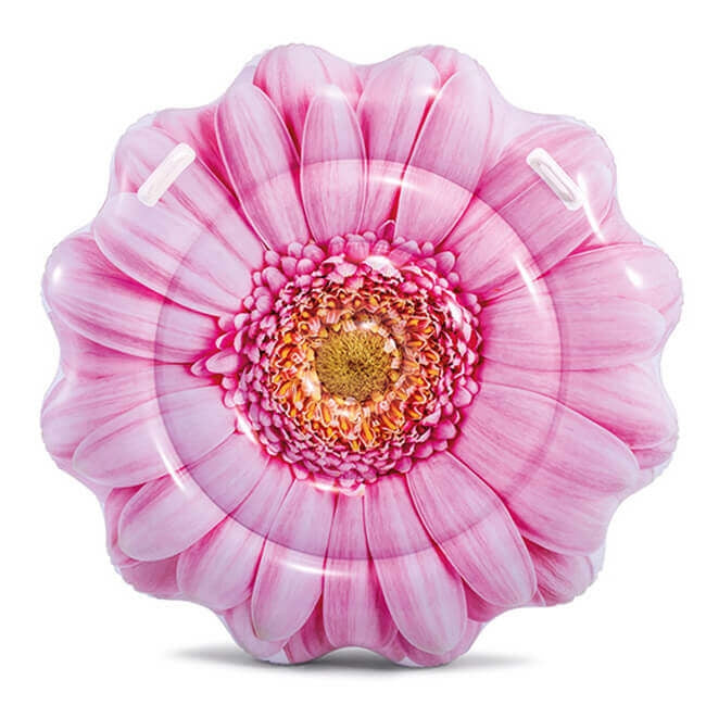 Airon de marguerite rose