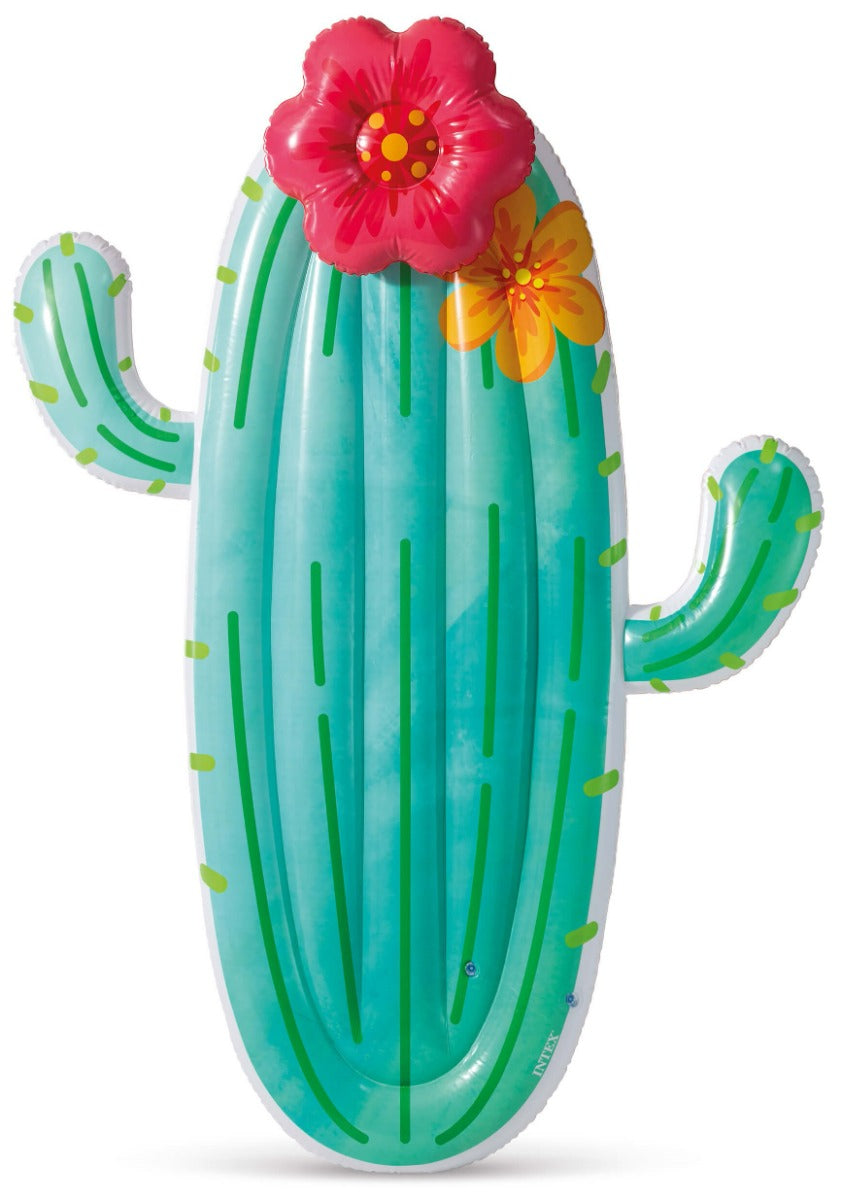 Cactus Intex Airted