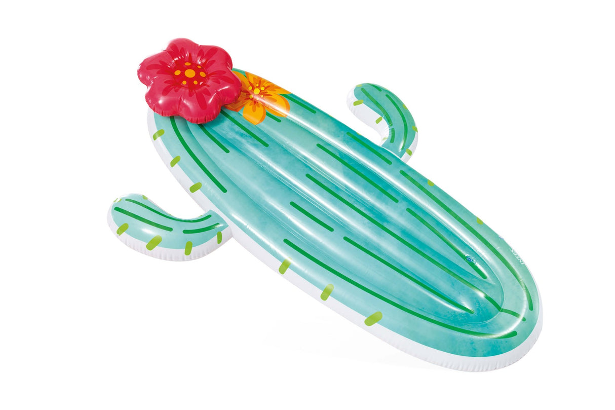 Cactus Intex Airted