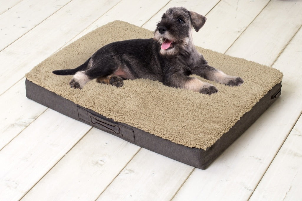 Sun garden buddy coussin orthopédique pour chien 72x50x8cm beige marron foncé