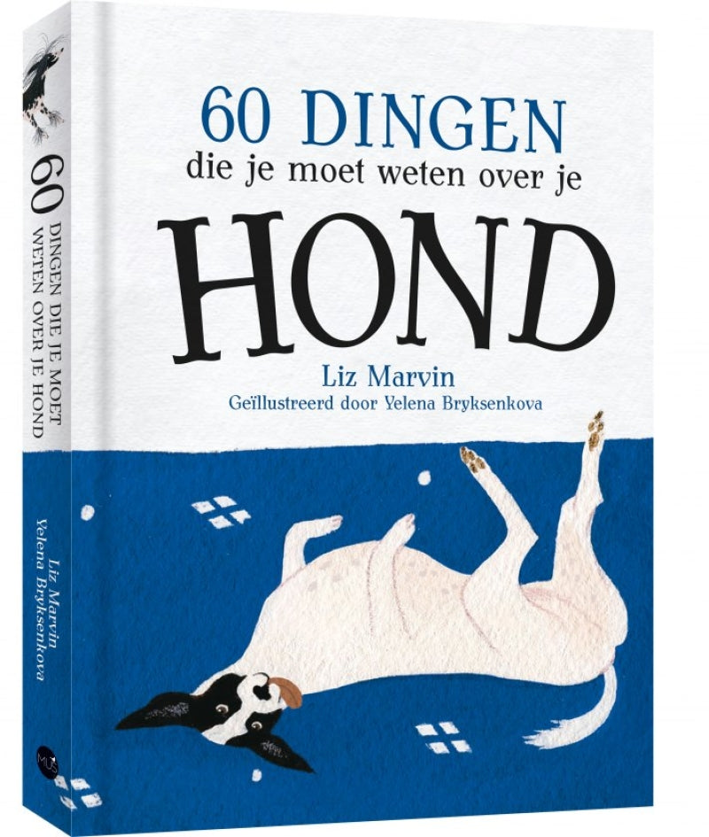 Voici 60 choses que vous devez savoir sur votre chien
