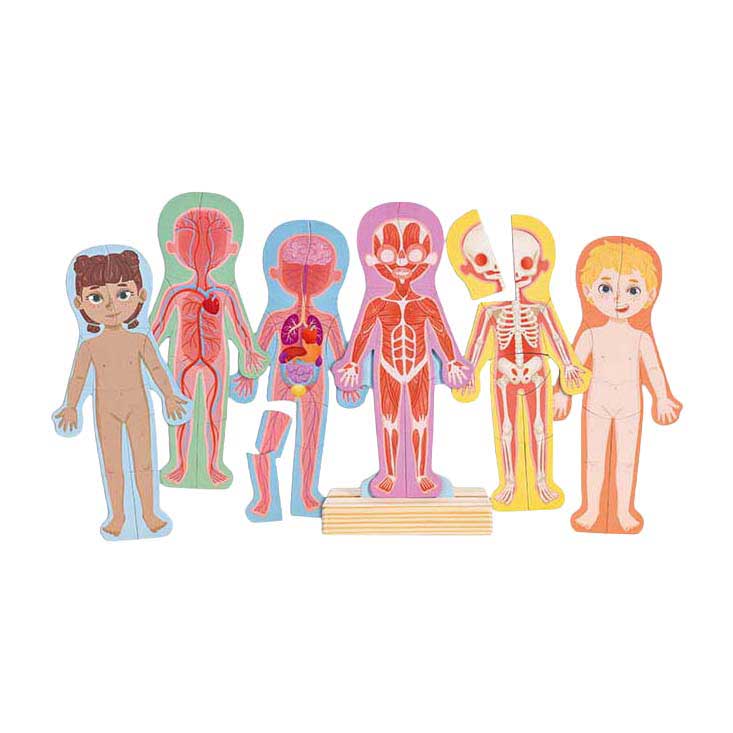 Puzzle magnétique Hape corps humain - 63 pièces.