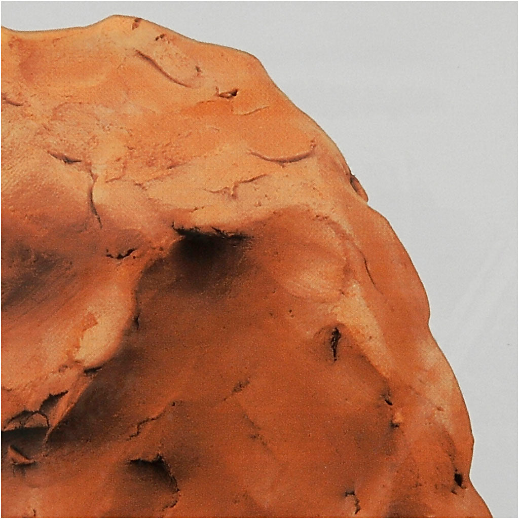 Https : www.ccobby.nl self-durcissement-argile-terracotta-1000-gr-1-box
