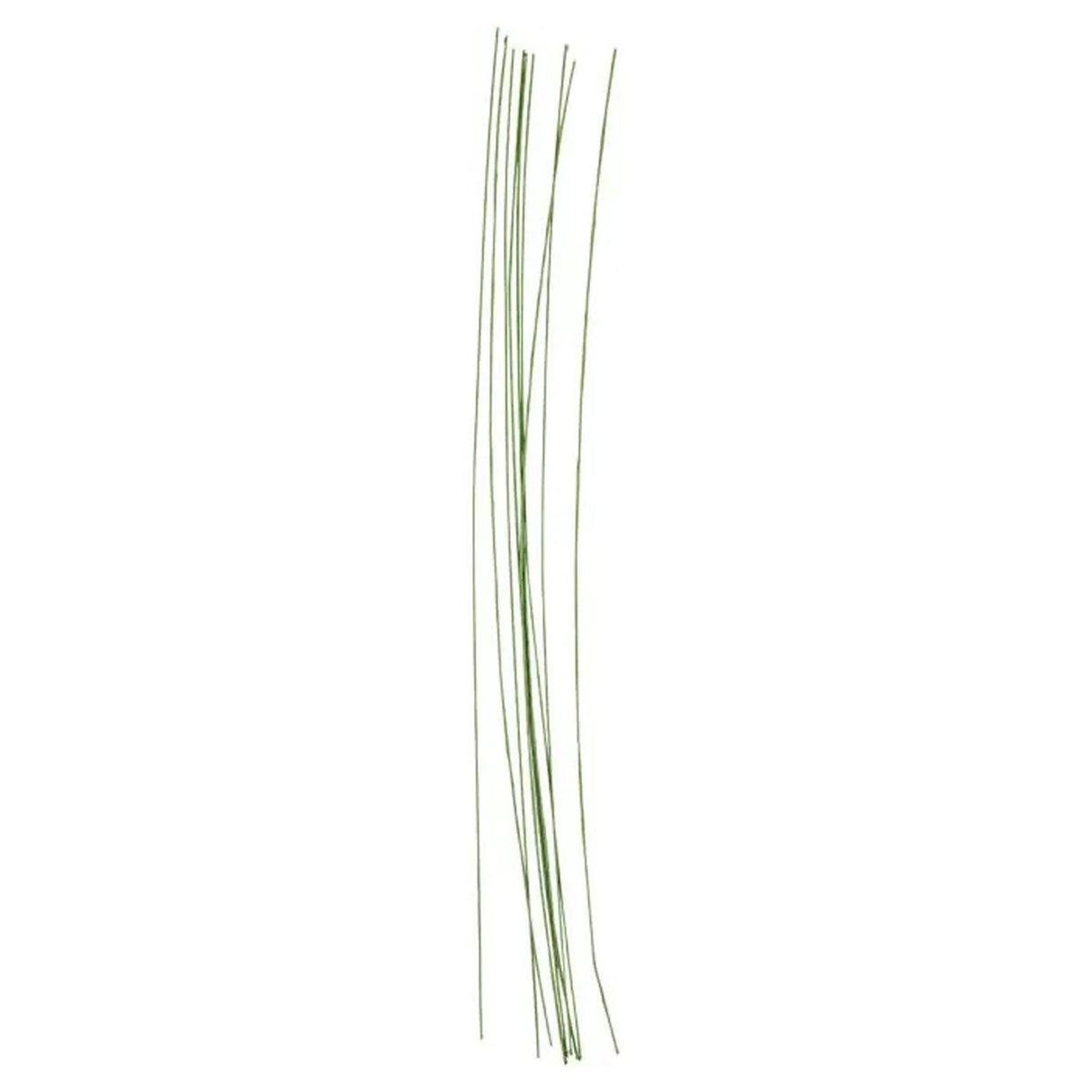 Société créative https : www.ccobby.nl tige de fleur fil-l-30-cm-d-0-6-mm-green-20-piece-1-box