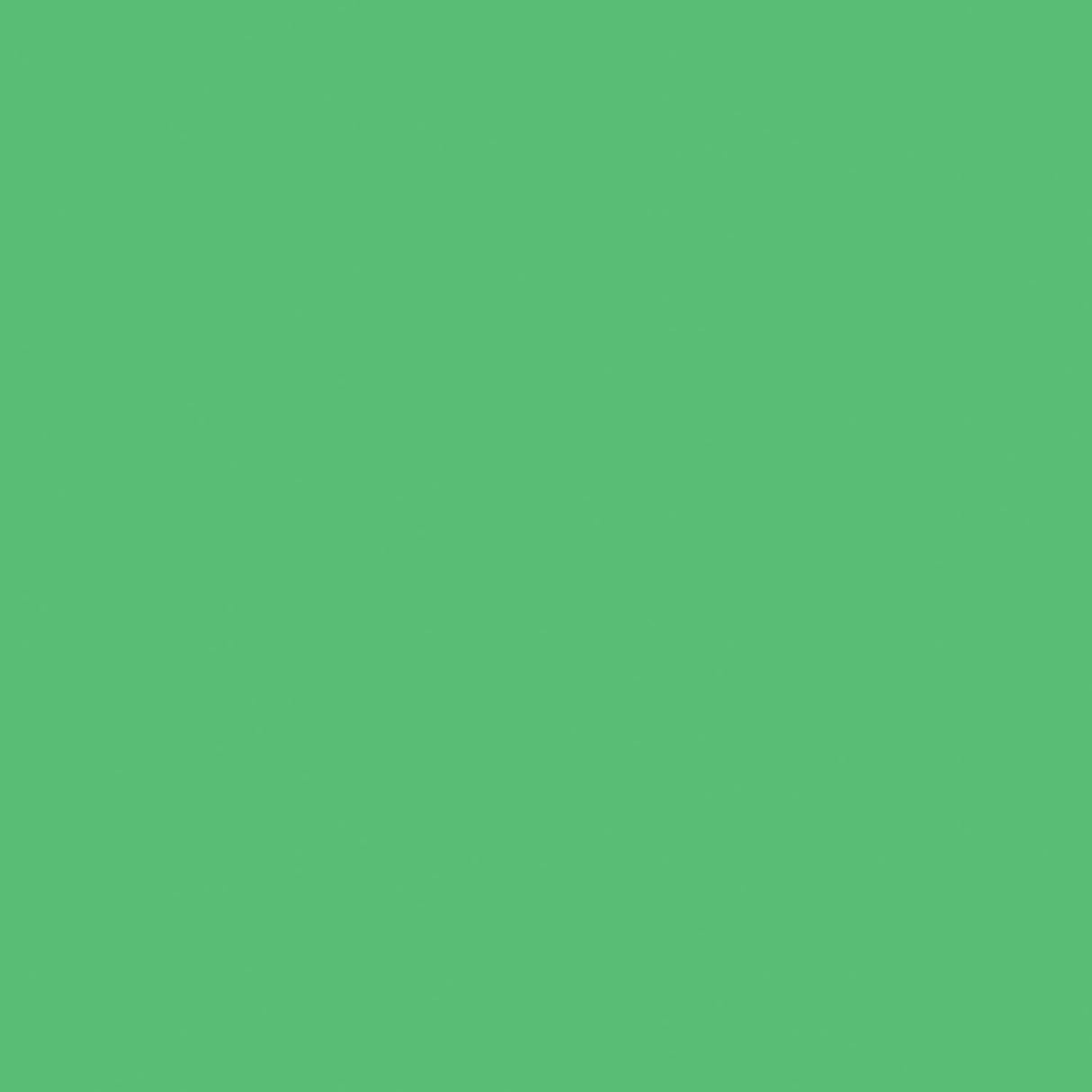Carton coloré Creativ company, a4, feuille 210x297 mm, 180 gr, vert herbe, 20 feuilles 1 boîte