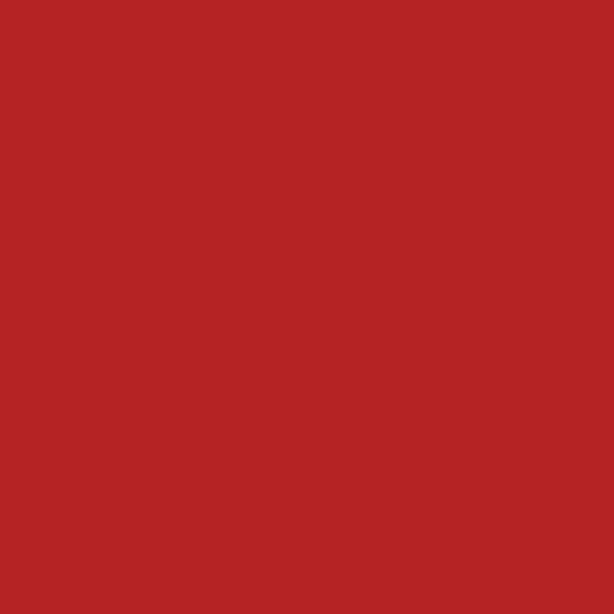 Creativ company carton coloré bordeaux A4, 20 feuilles