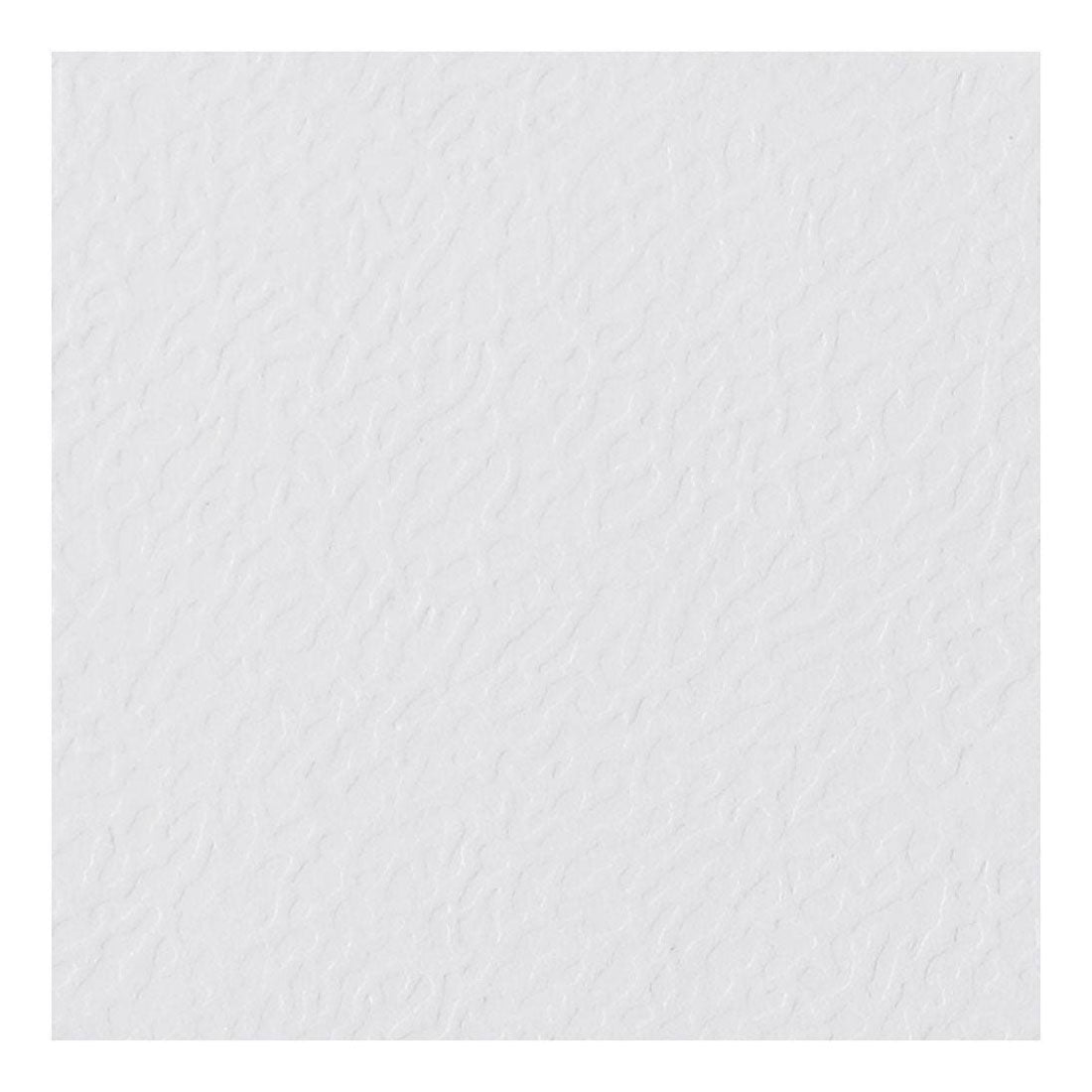 Société Creativ https: www.ccobby.nl cartes nominatives-size-9x4-cm-220-gr-white-20-piece-1-box
