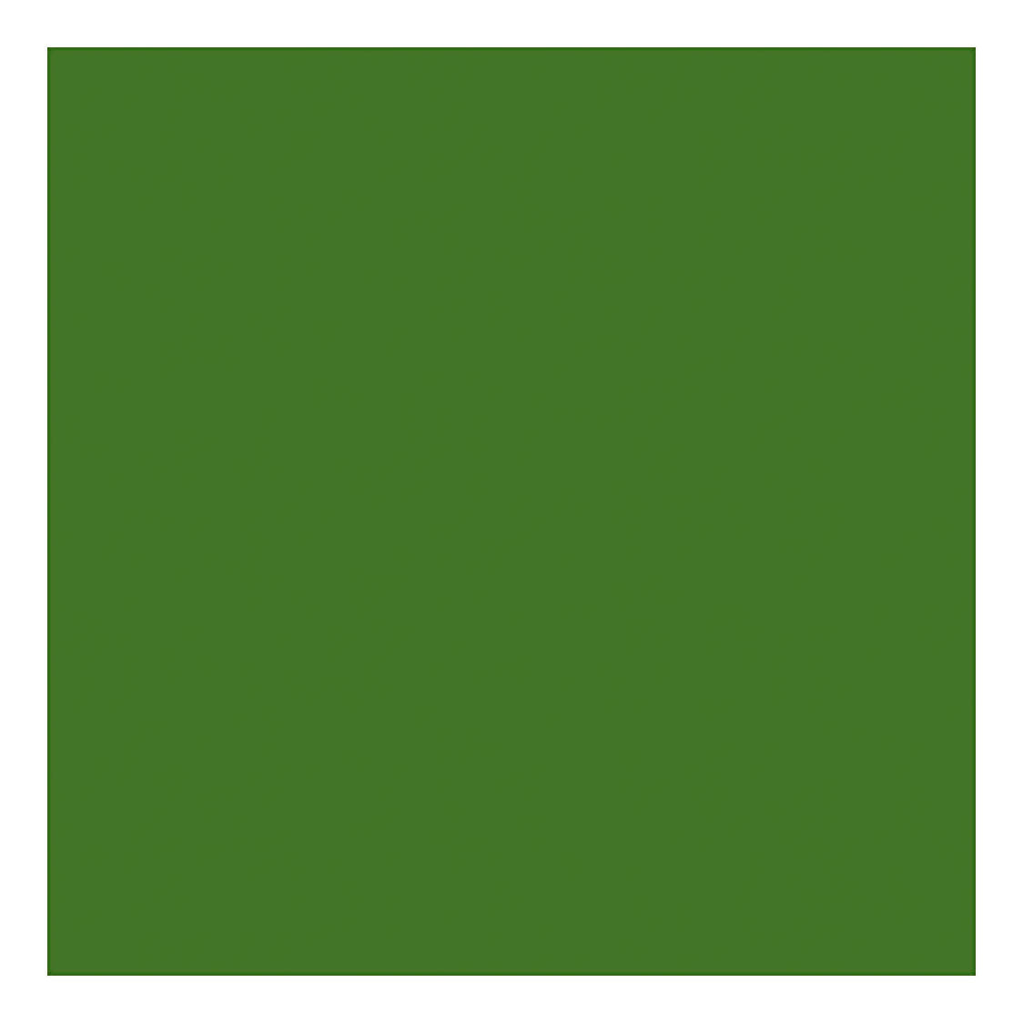 Creativ Company Textile Couleur semi-covergée de peinture textile - vert olive, 50 ml