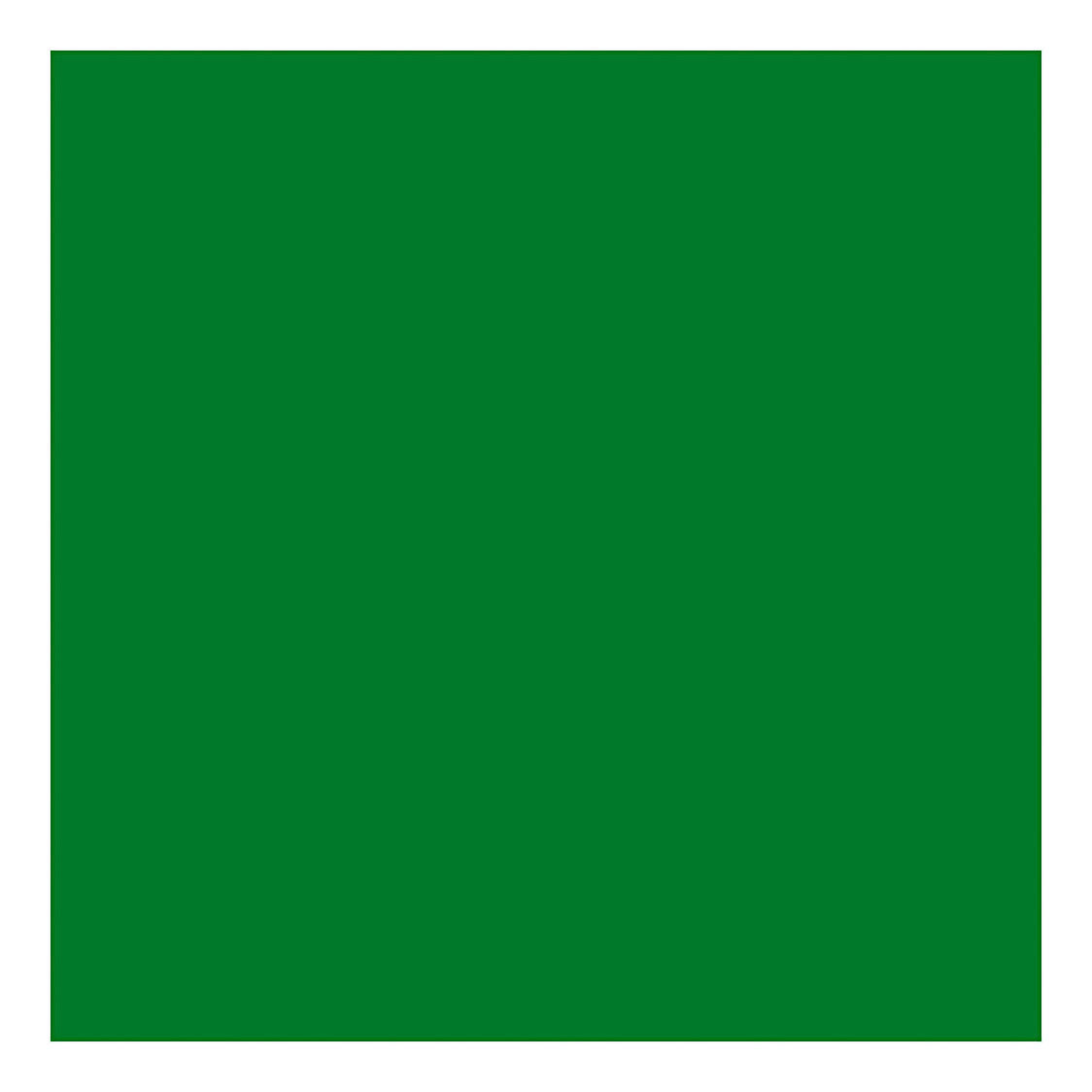 Creativ Company Couleur textile couvrant la peinture textile - vert brillant, 50 ml