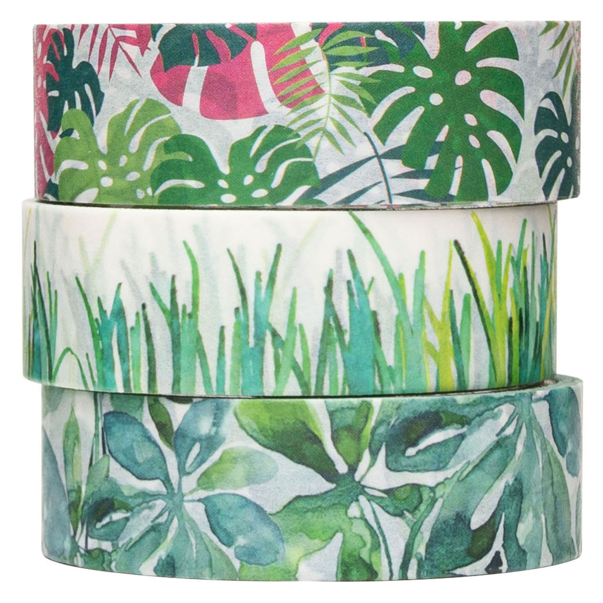 Colorations - plantes de washi tape 3 rouleaux, 5 mtr.