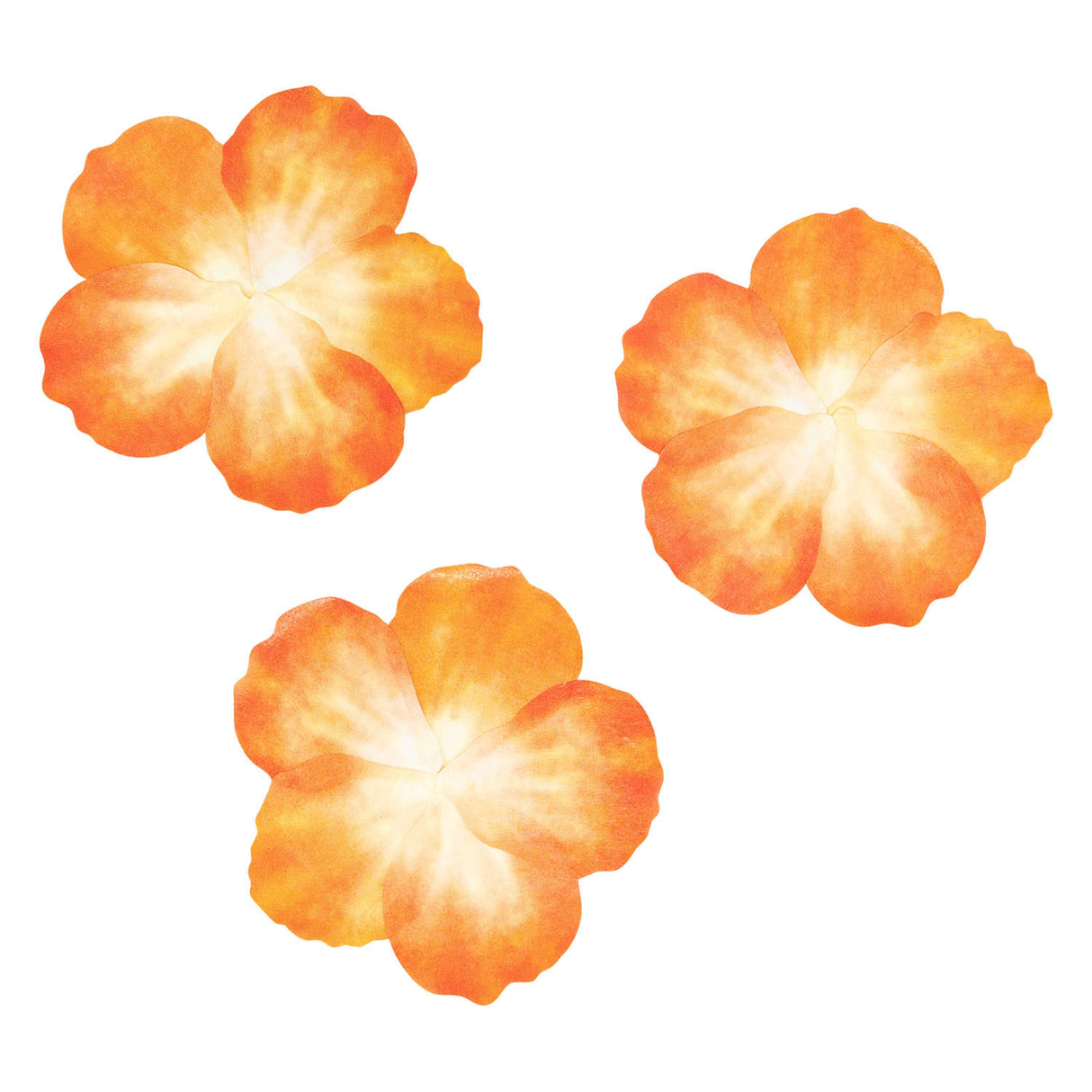 Colorations - Stickers Washi - Pétales orange, 80e.