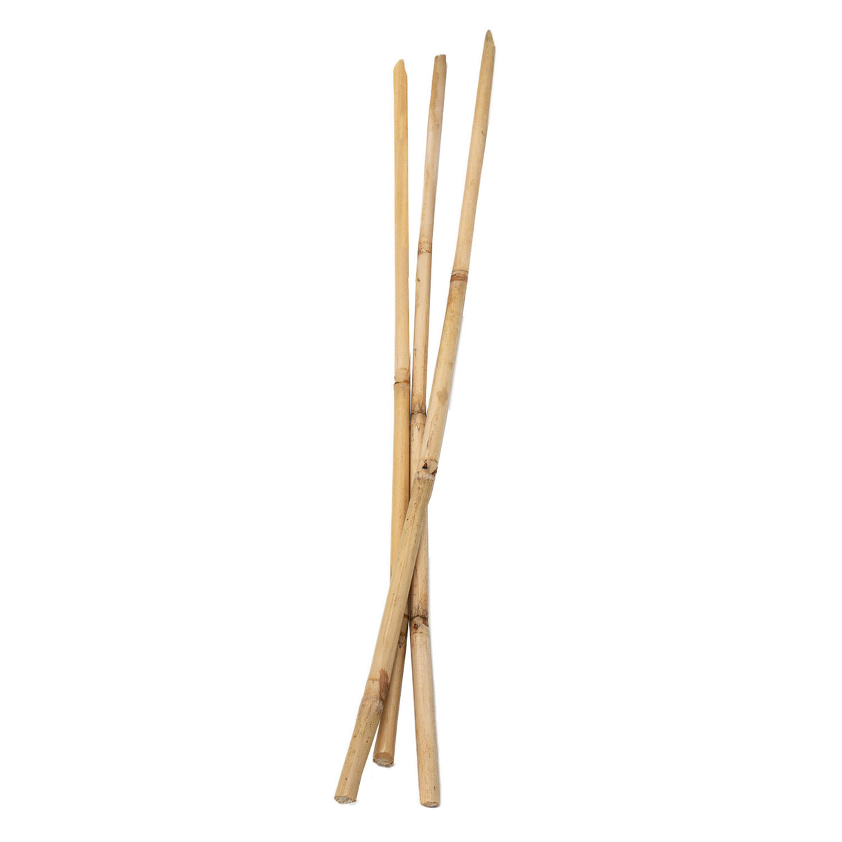 Colorations - Bamboo bâtons 50 cm, 3e.